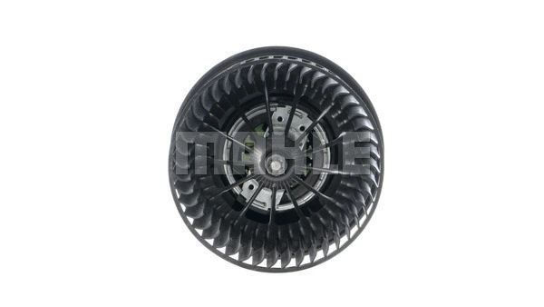 Interior Blower