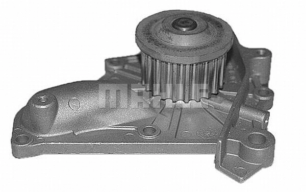 Water Pump, engine cooling (CP 315 000S)