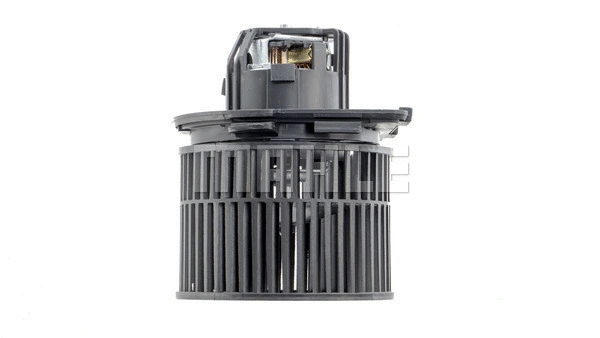 Interior Blower