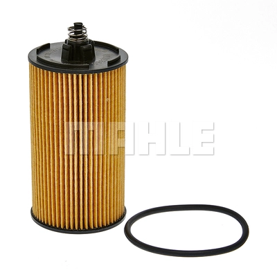 Oil Filter (OX 1256D)