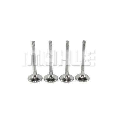 Exhaust Valve (VE0700087)
