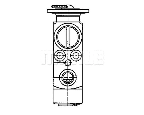 Expansion Valve, air conditioning (AVE 53 000P)