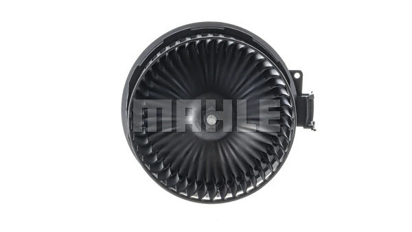 Interior Blower