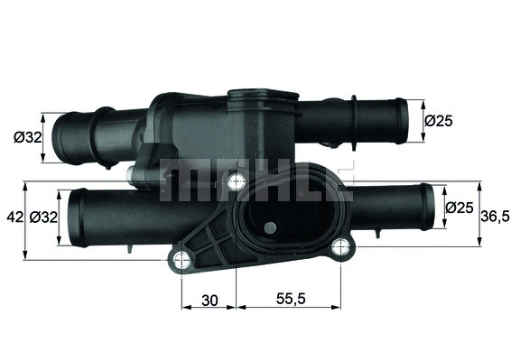 Thermostat, coolant (TM 2 105)