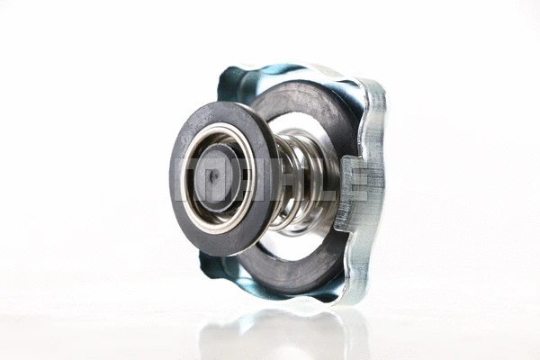 Cap, coolant tank
