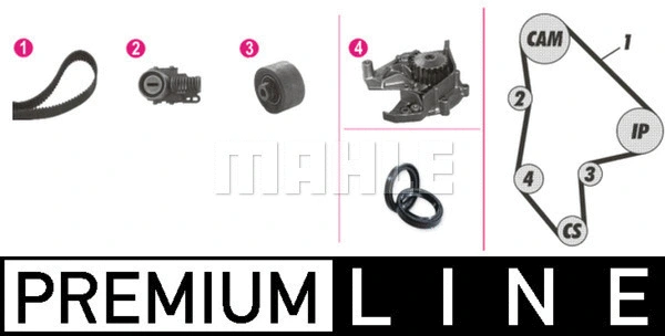 Water Pump & Timing Belt Kit