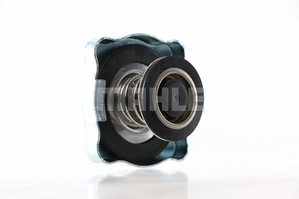 Cap, coolant tank