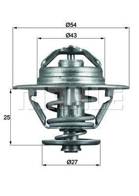 Thermostat, coolant (TX 93 83D)