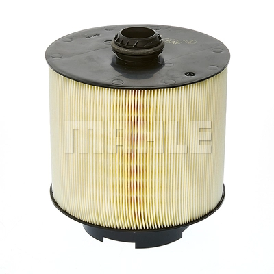 Air Filter (LX 1006/21)