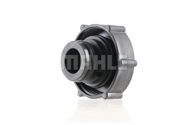 Cap, coolant tank