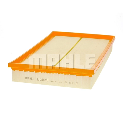 Air Filter (LX 4443)