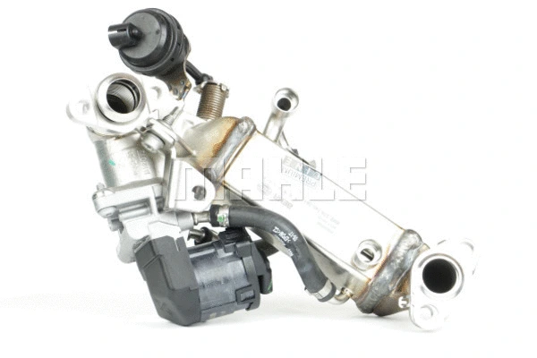 Cooler, exhaust gas recirculation