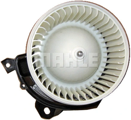 Interior Blower