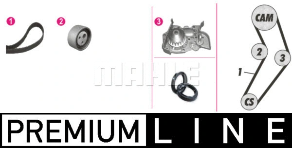 Water Pump & Timing Belt Kit