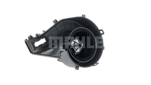 Interior Blower