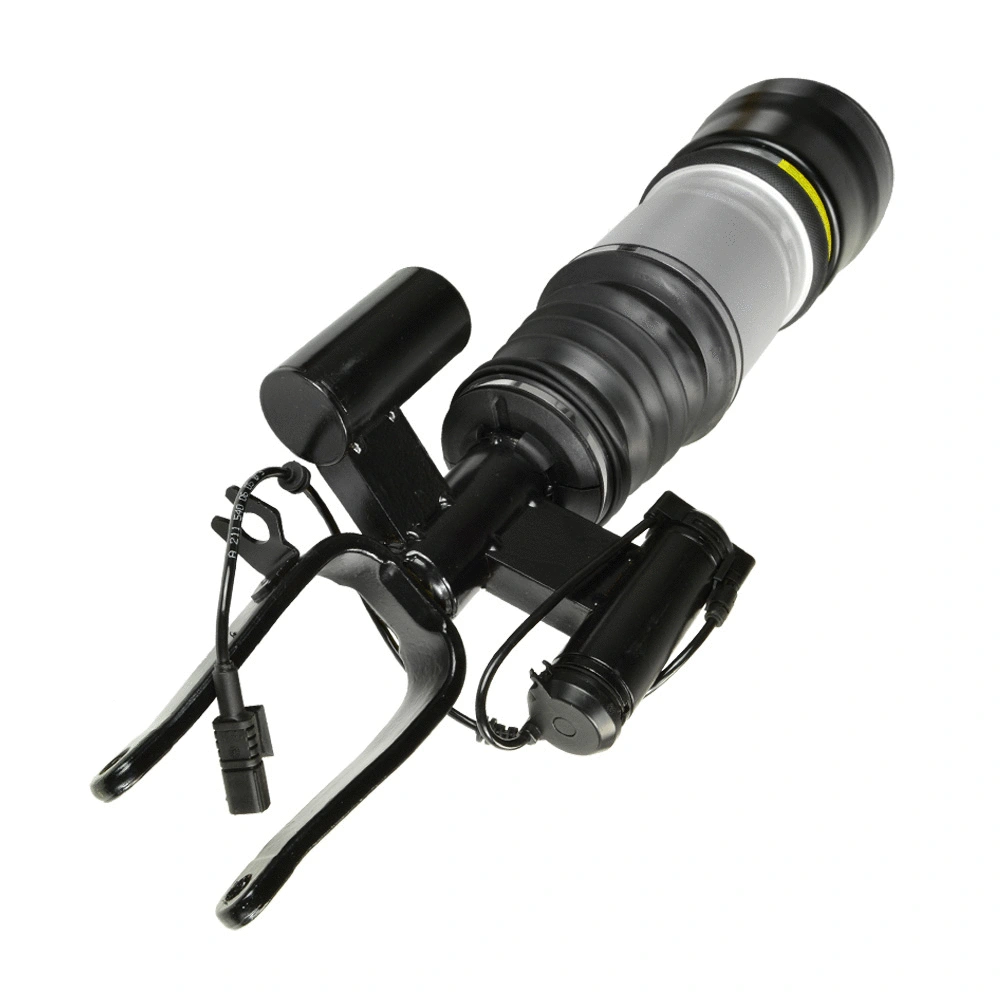 Air Suspension Strut (1213-01-9613)