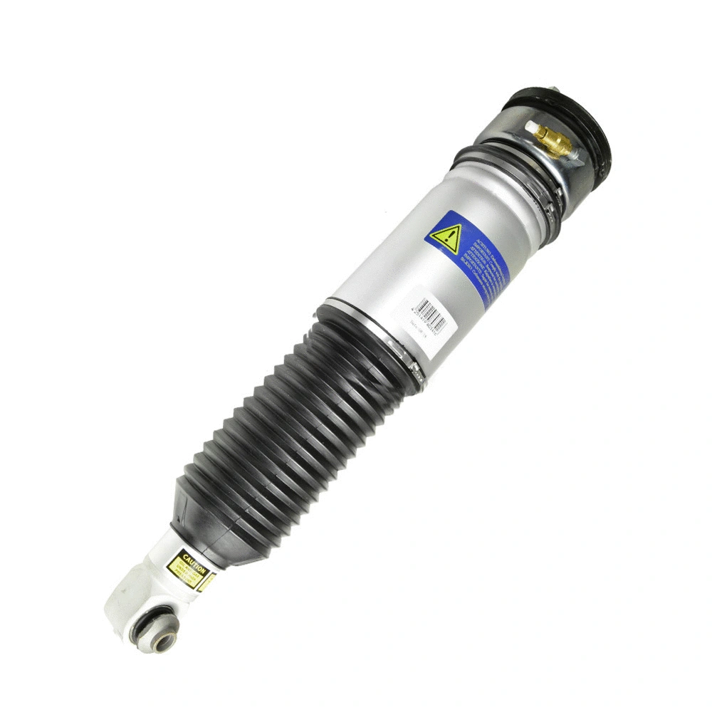 Air Suspension Strut (1108-01-5538)