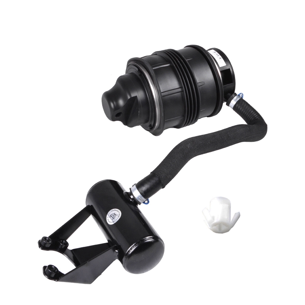 Air Spring, suspension (1207-01-1325)