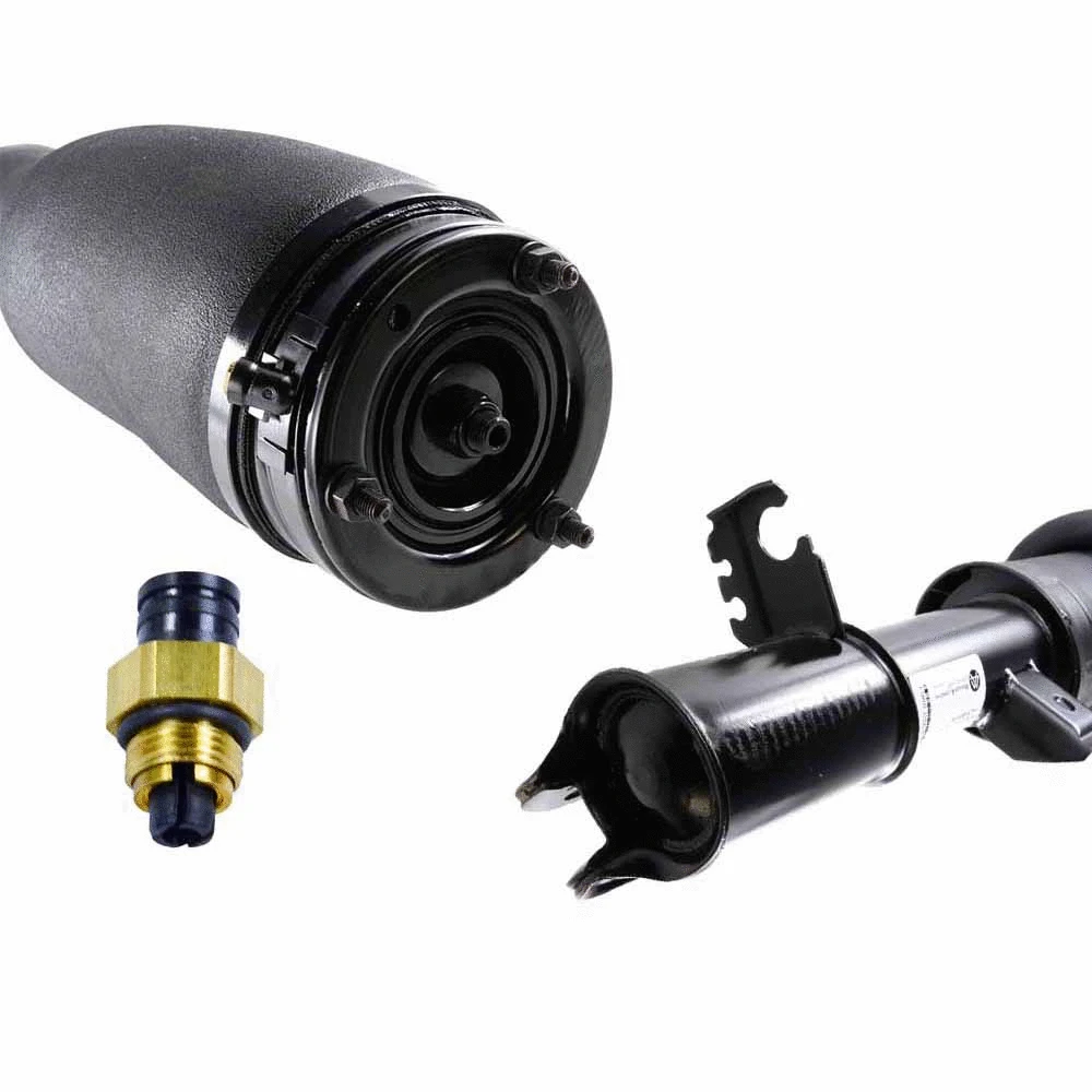 Air Suspension Strut