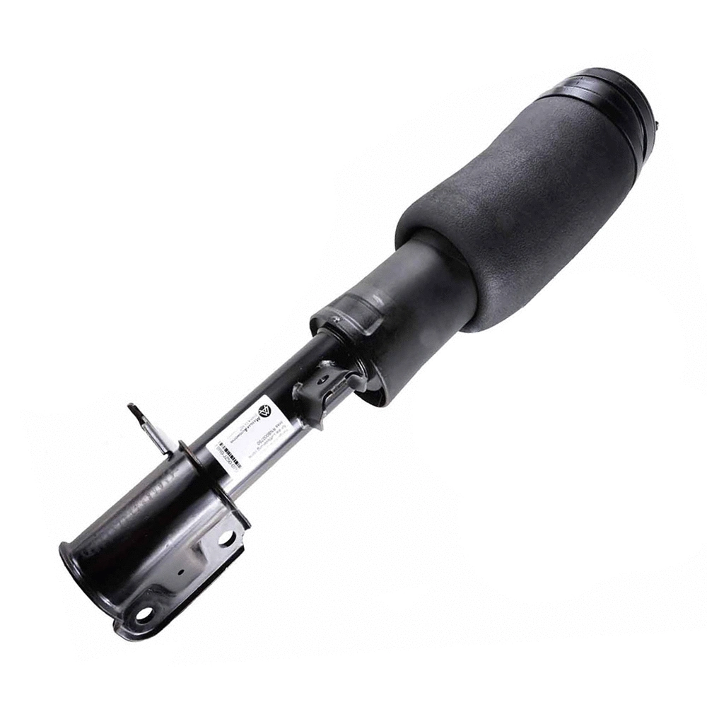 Air Suspension Strut (1268-01-0750)