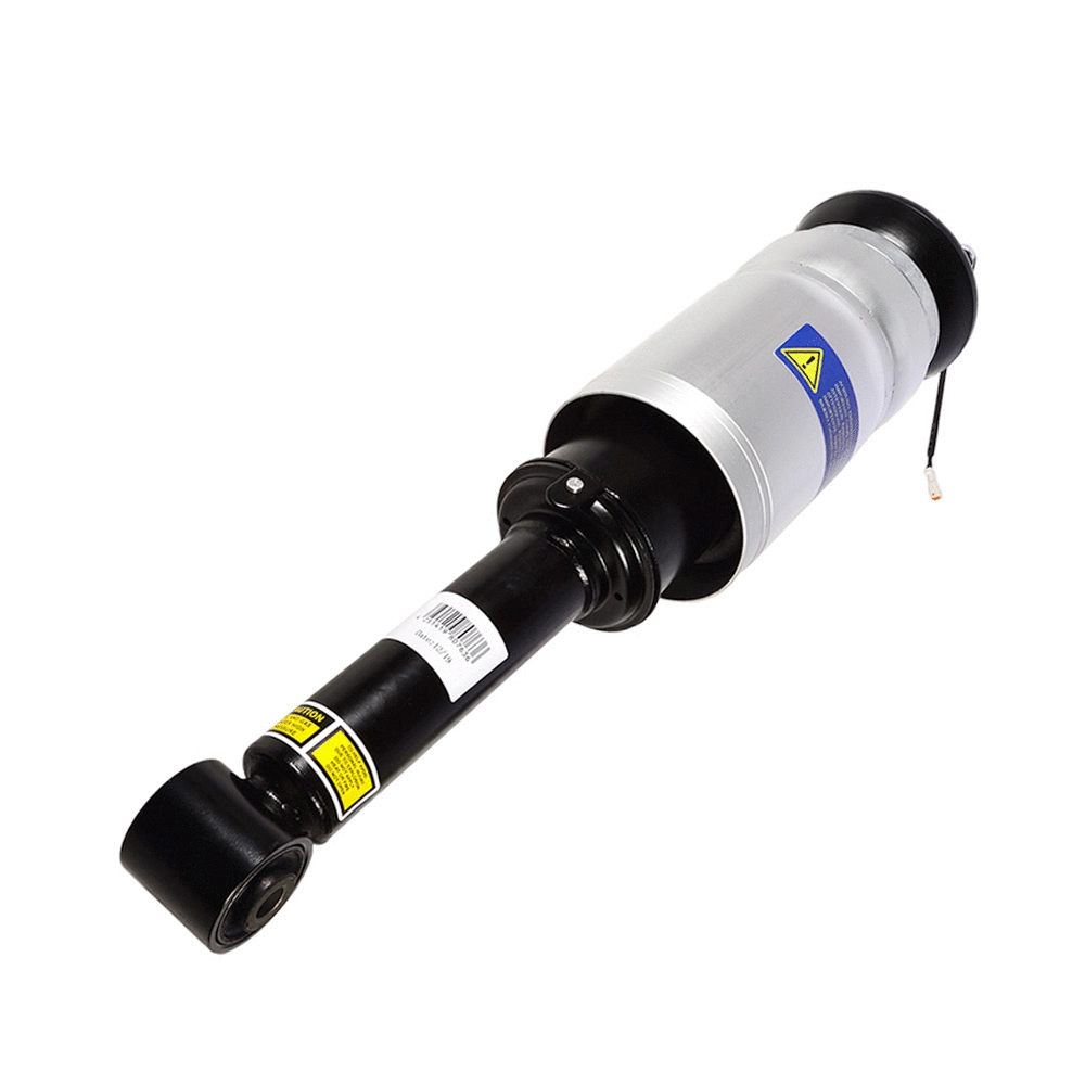 Air Suspension Strut (1254-01-2866)
