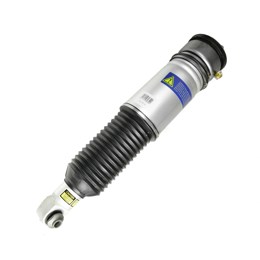 Air Suspension Strut (1107-01-5537)