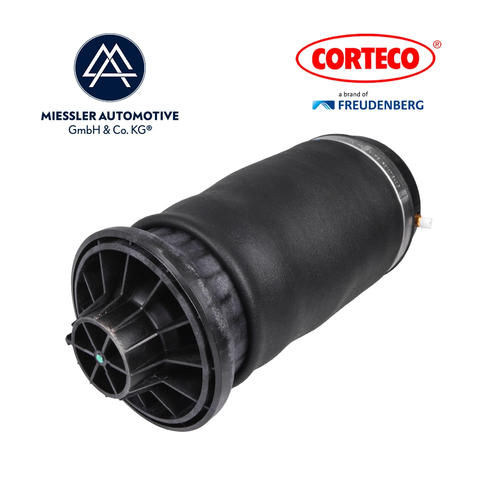 Air Spring, suspension