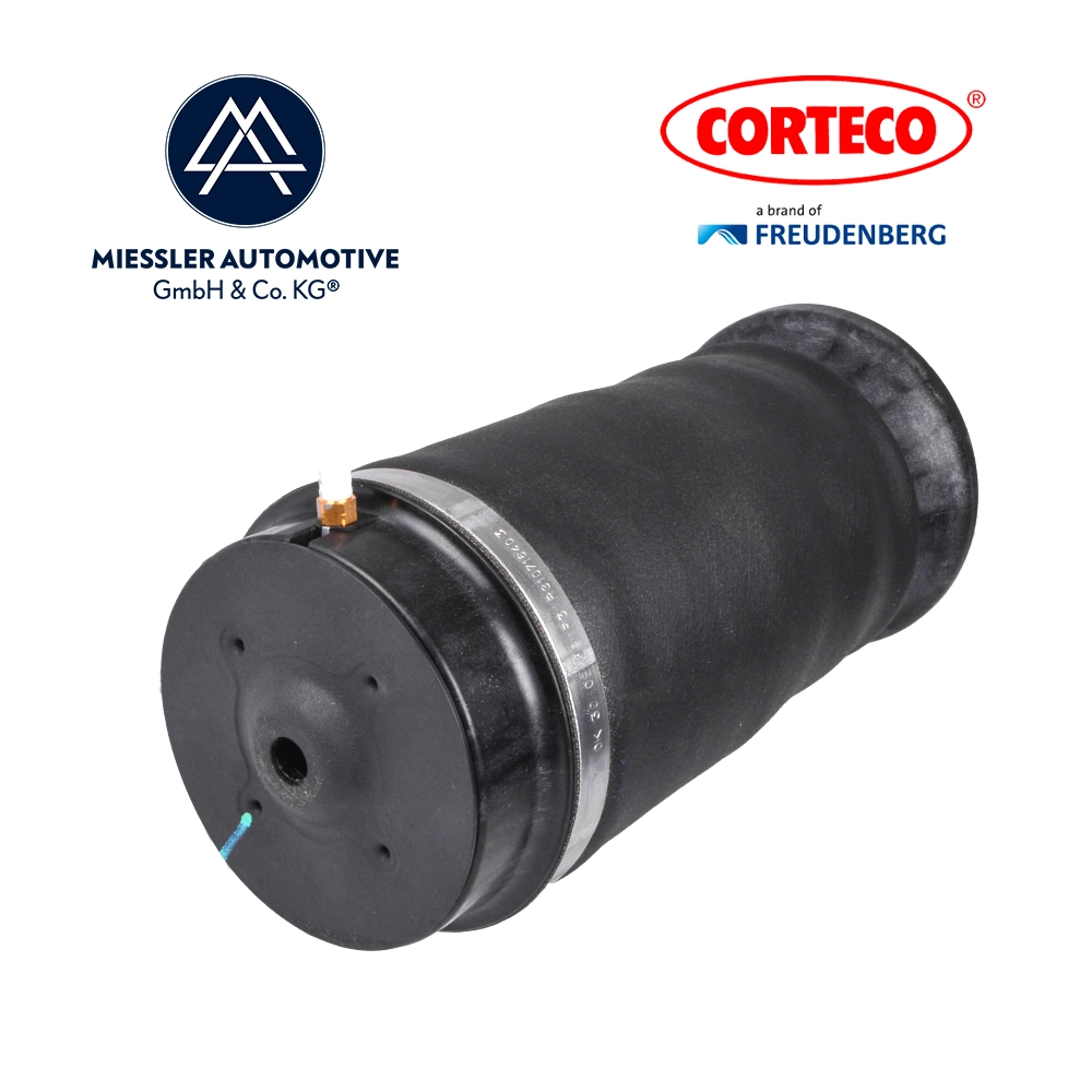 Air Spring, suspension (MA-0000008)