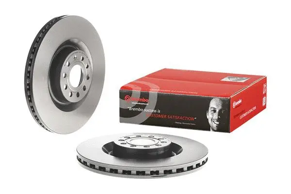 Brake Disc (BV 9189)