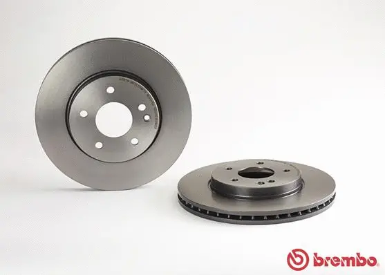 Brake Disc (BV 8219)