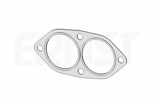 Gasket, exhaust pipe (498494)