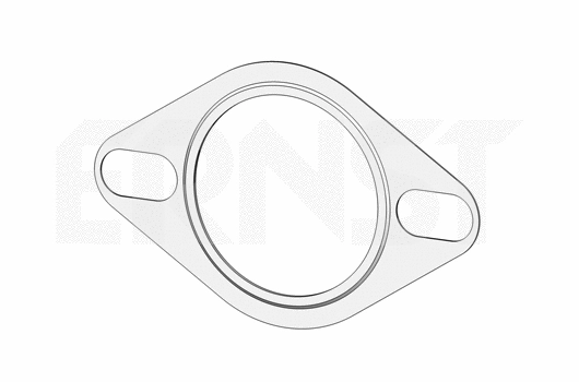 Gasket, exhaust pipe (494410)