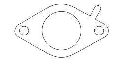 Gasket, exhaust pipe (497589)