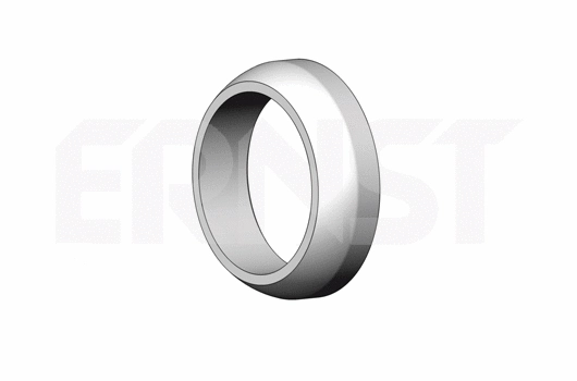 Seal Ring, exhaust pipe (493451)