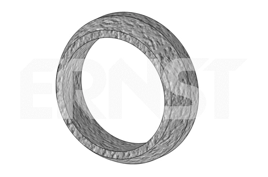 Seal Ring, exhaust pipe (492195)