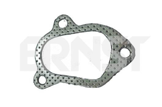 Gasket, exhaust pipe (490481)