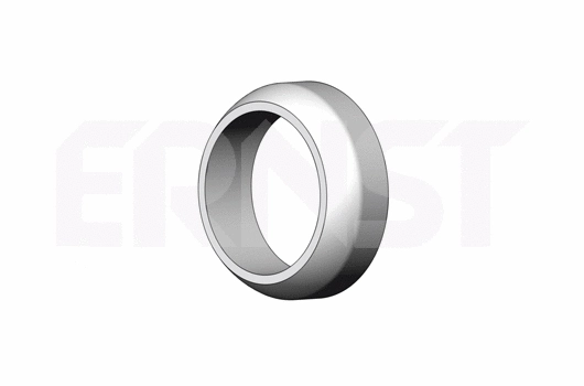Seal Ring, exhaust pipe (493475)