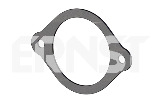 Gasket, exhaust pipe (492409)