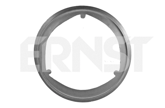 Gasket, exhaust pipe (490474)