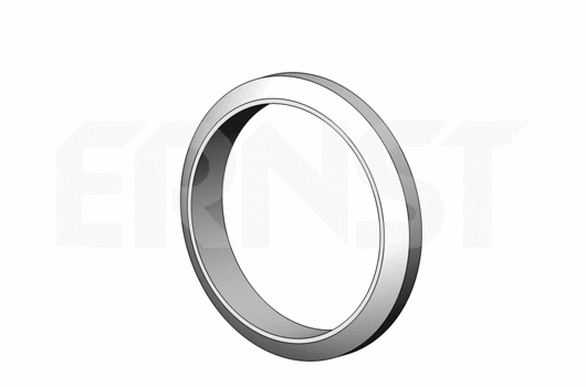 Seal Ring, exhaust pipe (495578)
