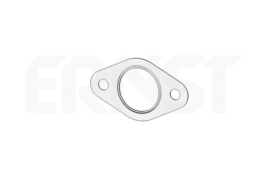Gasket, exhaust pipe (495189)