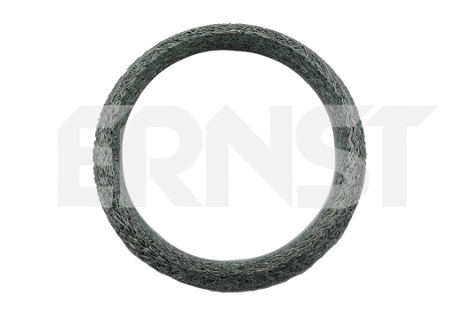 Seal Ring, exhaust pipe (490313)