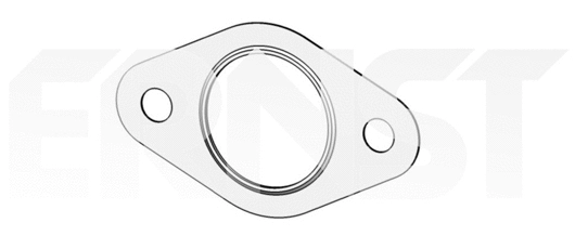 Gasket, exhaust pipe (496629)