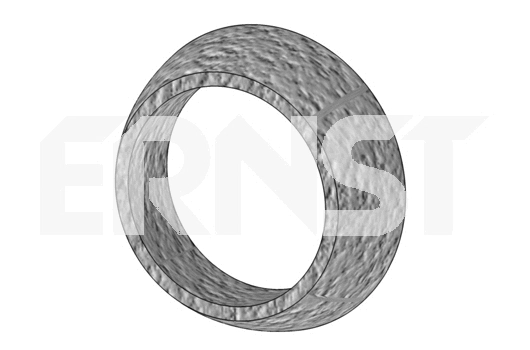 Seal Ring, exhaust pipe (491174)