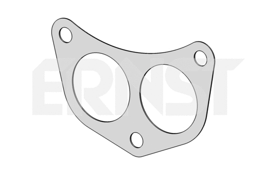 Gasket, exhaust pipe (497602)
