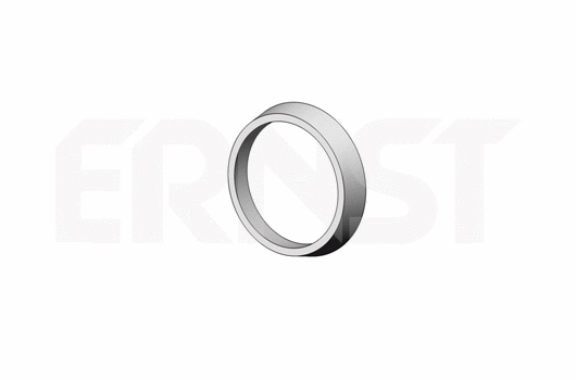 Seal Ring, exhaust pipe (493956)