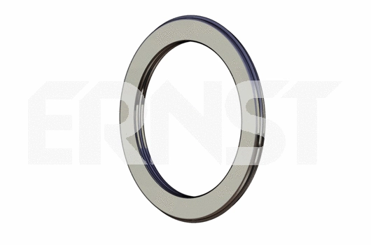 Seal Ring, exhaust pipe (491877)