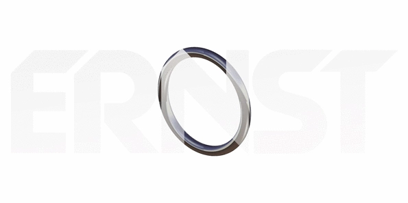Seal Ring, exhaust pipe (493789)