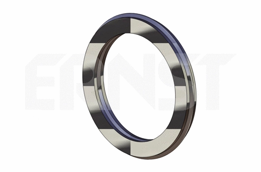 Gasket, exhaust pipe (493116)