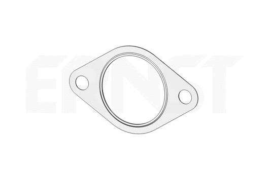 Gasket, exhaust pipe (498234)